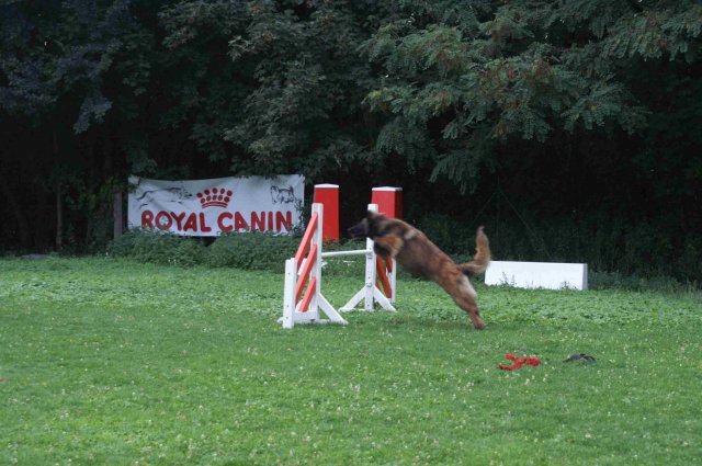 agility 2011-09